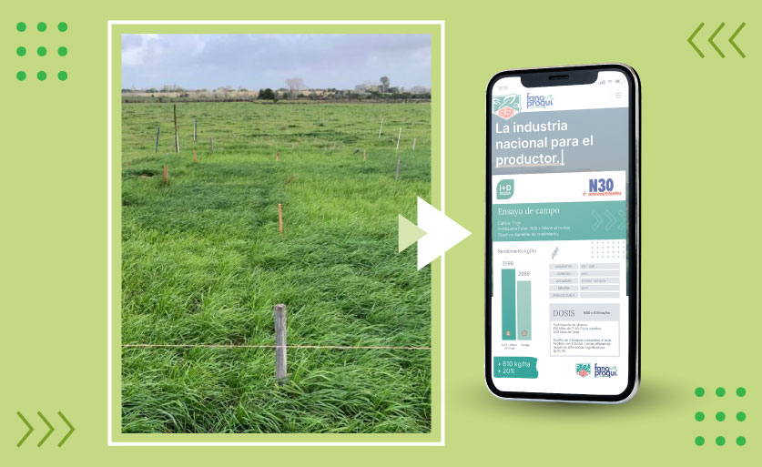 Ensayos y experiencias en campo