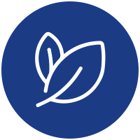 FERTILIZANTES FOLIARES