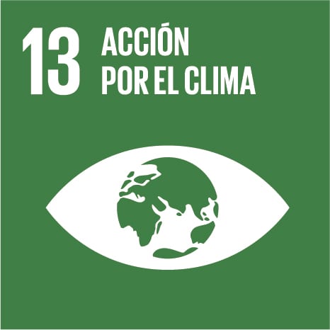 13- Acción por el Clima
