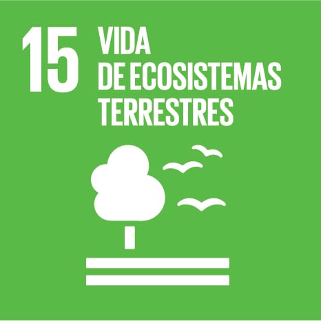 15- Vida de Ecosistemas Terrestres